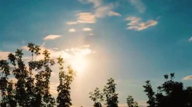 Doğada gün batımı, ağaçların arka planına karşı, hızlı hareketle güzel bir günbatımı..