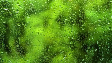 Ağaç yapraklarının yeşil arka planında cam üzerindeki damlaların dokusu. Pencerenin dışındaki yağmur damlaları camdan aşağı akıyor..