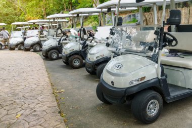 THAILAND, CHONBURI - 24 Ekim 2022 - Kiralık golf arabaları veya golf arabaları, Khao Kheow Açık Hayvanat Bahçesi 'nde kiralık golf arabaları 