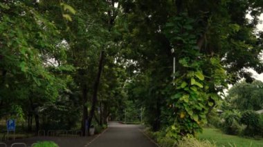 Bangkok, Tayland 'daki Vachirabenjatas Parkı' ndaki (Rot Fai Park) tüm yaşam alanlarının yolu Bangkok 'un en popüler parklarından biridir..