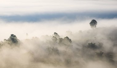 Dağlık bir orman manzarası, bulutlu, sisli bir gökyüzü altında, bulutlu ve dağ yamaçlı doğal yeşil bir manzaranın arka plan manzarası..