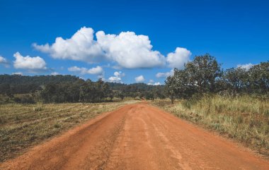 yeşil çayır panoramik mavi gökyüzü ve beyaz bulutlar ile kırsal yol.