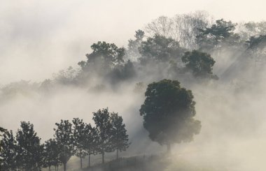 Dağlık bir orman manzarası, bulutlu, sisli bir gökyüzü altında, bulutlu ve dağ yamaçlı doğal yeşil bir manzaranın arka plan manzarası..