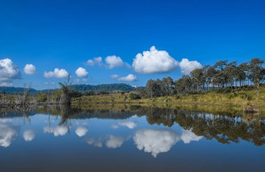 Gün ışığında, mavi gökyüzünde ve bataklıkta yansıyan bulutlarda.