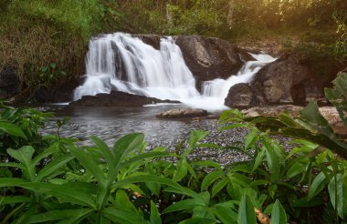 Kayalar, nehirler ve ormanlar da dahil olmak üzere, sıcak ve alçak ışıklandırmalı huzurlu, sakin doğal bir manzara..
