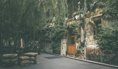 Duvara gri renk tonuyla ve koyu loş ışıkla yerleştirilmiş çeşitli bitkilerle eski bir Çin tarzı bina..