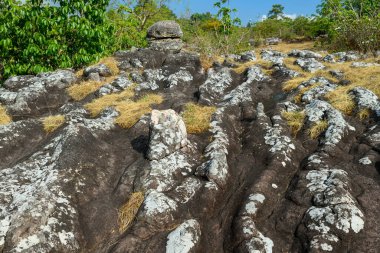 Tayland 'ın kuzeyindeki Phu Hin Rong Kla Ulusal Parkı' nda beyaz liken ve doğal erozyon kanalları bulunan belirgin kaya oluşumları..