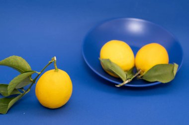 Multiple lemons on a blue background with copy space. Minimalist style photography. Yellow, blue and green color harmony. Color theory. Complementary color harmony.