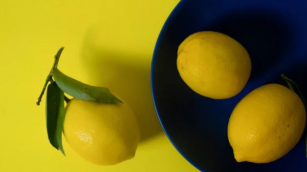 Multiple lemons on a blue plate with yellow copy space. Minimalist style photography. Yellow, blue and green color harmony. Color theory. Complementary color harmony.
