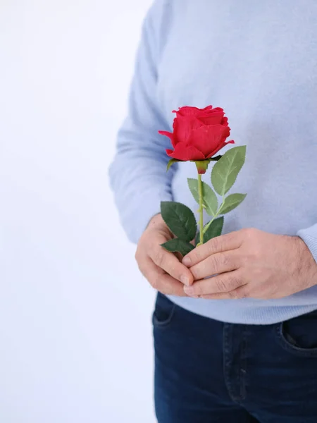 Part body man holding a red rose on his hands. Portrait orientation. Copy space. Anniversary proposal and engagement idea. Love scene. Love celebration. Romantic man.