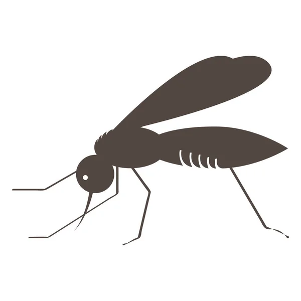 Esto Vector Mosquitos Ilustración — Archivo Imágenes Vectoriales
