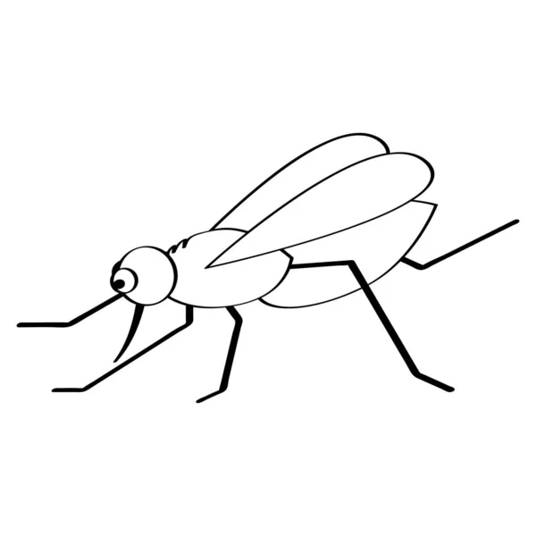 蚊のベクトル図です — ストックベクタ