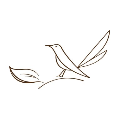 kuş logo vektör çizim