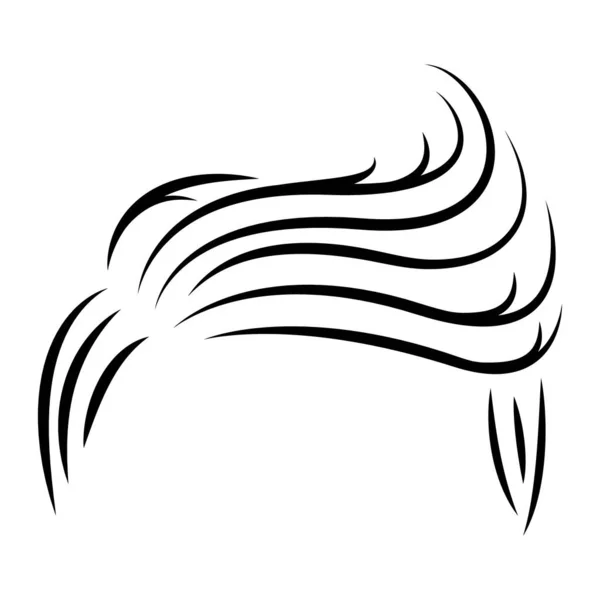 Saç Logosu Vektör Illüstrasyon Tasarımının Eşsizidir — Stok Vektör