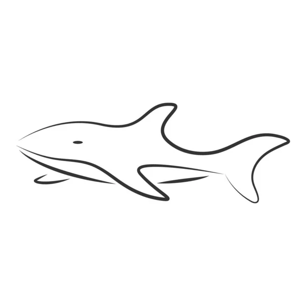 Αυτό Είναι Διάνυσμα Του Σχεδιασμού Εικονογράφησης Λογότυπου Καρχαρία — Διανυσματικό Αρχείο