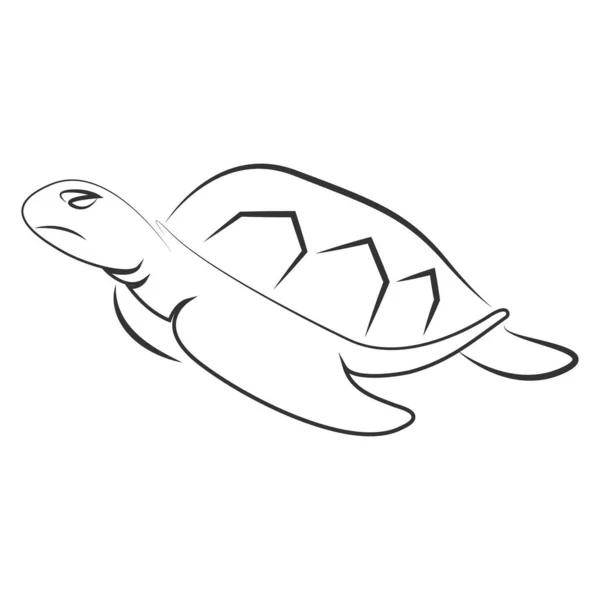 Questo Disegno Dell Illustrazione Vettoriale Della Tartaruga — Vettoriale Stock