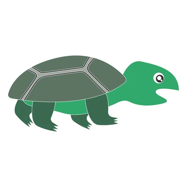 Векторный Рисунок Черепахи — стоковый вектор