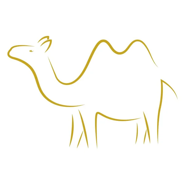 Tghis Design Ilustração Vetor Logotipo Camelo — Vetor de Stock