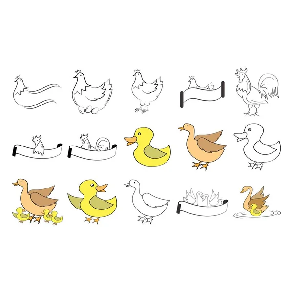 Дизайн Векторной Иллюстрации Птичьего Набора — стоковый вектор