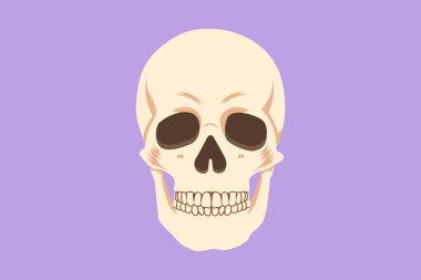 Kafa logosu, simge, etiket ve sembolün grafiksel düz tasarım çizimi. Ön görüş projeksiyonunda anatomik kafatasları. Tıbbi eğitim ekipmanları için anatomi yüzü. Çizgi film biçimi vektör illüstrasyonu