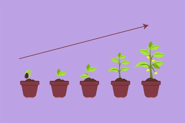 木を植えるインフォグラフィックを描くグラフィックフラットデザイン 種子は鍋か地面で芽を出します シードリングガーデニングプラント スプロット 木の成長アイコン シンボル 漫画スタイルベクターイラスト — ストックベクタ