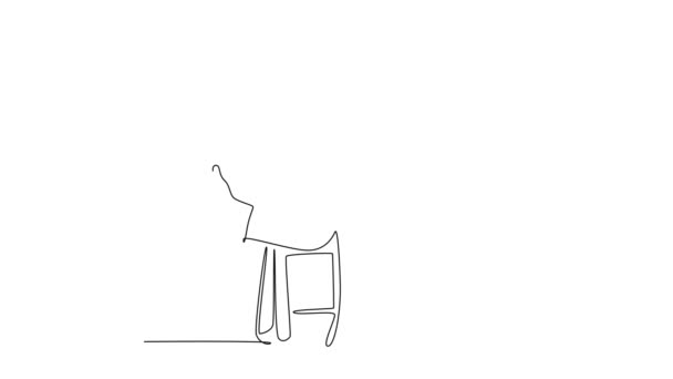 Анимация Саморисования Сплошной Линии Рисует Молодую Счастливую Пару Мужчину Женщину — стоковое видео