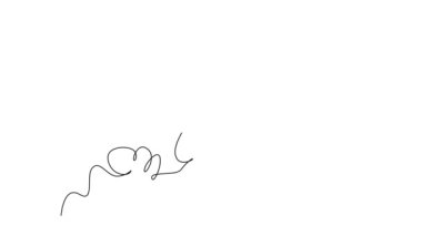 Sürekli çizginin animasyonlu çizimleri genç ve mutlu iş kadınlarını zıplar ve ellerini havaya kaldırarak başarıyı kutlar. İş kutlaması konsepti. Tam uzunluktaki tek çizgi canlandırması