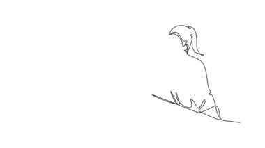 Tek satırın kendi kendine çizimi genç iş adamı ve iş kadınını dizüstü bilgisayar ekranında proje öğrenme grafiğini tartışırken çekiyor. İş toplantısı. Devamlı çizgi çekme. Tam uzunluk canlandırması