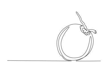 Meyve bahçesi logosu kimliği için sağlıklı organik hindistan cevizi çizimleri. Meyve bahçesi ikonu için taze meyve konsepti. Dinamik bir çizgi çizer grafik tasarım vektörü çizer