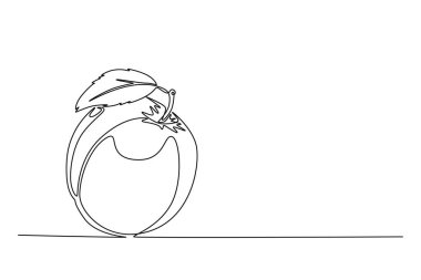 Meyve bahçesi logosu kimliği için sağlıklı, mor, organik erik çizen tek bir çizgi. Meyve bahçesi ikonu için taze meyve konsepti. Modern sürekli çizgi çizimi tasarım grafik vektör çizimi