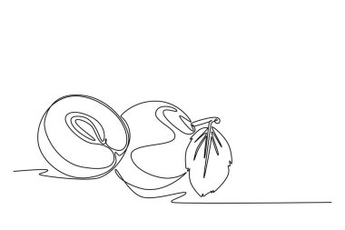 Meyve bahçesi logosu kimliği için tek bir çizim ve dilimlenmiş sağlıklı organik erik. Meyve bahçesi ikonu için taze meyve konsepti. Modern sürekli çizgi çizimi tasarım grafik vektör çizimi