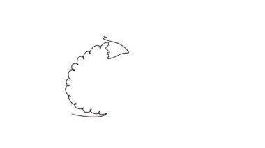 Tek bir çizginin kendi kendine çizimi meyve bahçesi logosu kimliği için yarım dilimlenmiş organik ahududu çeker. Meyve bahçesi için taze meyve konsepti. Devamlı çizgi çekme. Tam uzunluk canlandırması