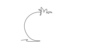 Sürekli çizilen animasyon, meyve bahçesi logosu kimliği için tam ve yarım dilimlenmiş organik narları kendine çekiyor. Meyve bahçesi için taze tohum konsepti. Tam uzunluktaki tek çizgi canlandırması