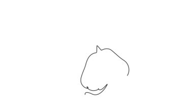 Tek bir çizginin kendi kendine çizimi meyve bahçesi logosu kimliği için sağlıklı organik çan meyvelerini bir bütün halinde çeker. Meyve bahçesi için taze meyve konsepti. Devamlı çizgi çekme. Tam uzunluk canlandırması