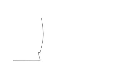 Sürekli çizimin animasyonlu çizimi, yatırımcılarla sohbet etmek ve yatırımcıları şirkete yatırım yapmaya ikna etmek için akıllı telefon tutan genç ve başarılı girişimci CEO 'yu kendine çekiyor. İş anlaşması. Tam uzunluktaki bir çizgi canlandırması