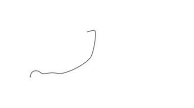 Meyve bahçesi logosu kimliği için dilimlenmiş organik tatlı patatesin sürekli çiziminin animasyonu. Botanik ikonu için taze ipomoea batatas konsepti. Tam uzunluktaki bir çizgi canlandırması