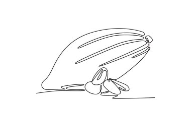 Bitki örtüsü logosu kimliği için sağlıklı organik kakao çekirdekleri çizmeye devam ediyor. Çikolata dükkanı ikonu için taze kakao fasulyesi konsepti. Tek çizgi çizimi tasarım vektörü grafik çizimi