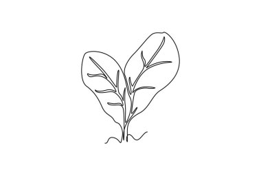 Logo kimliği için sağlıklı organik yeşil ıspanak yapraklarının kesintisiz çizimi. Yenilebilir sebze ikonu için taze bitki konsepti. Bir çizgi çizimi grafik tasarım vektör çizimi