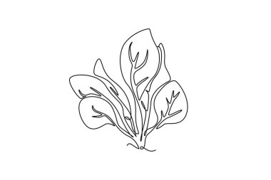 Çiftlik logosu kimliği için tek sıra halinde sağlıklı organik yeşil ıspanak yaprakları çiziyor. Bitki ikonu için taze yapraklı yeşil çiçek konsepti. Bir çizgi çizimi grafik tasarım vektör çizimi