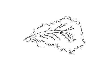 Logo kimliği için sağlıklı organik yeşil marul yaprakları çizmeye devam et. Sebze ikonu için taze salata malzemesi kavramı. Tek çizgi çizimi tasarım vektörü grafik çizimi