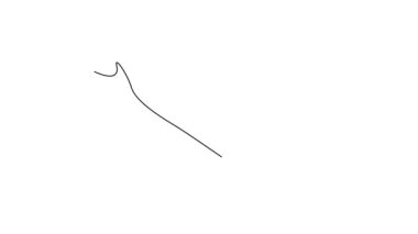 Çiftlik logosu kimliği için sağlıklı taze, organik yeşil bezelyelerin sürekli çizimlerinin animasyonu. Sebze ikonu için taze küçük küresel tohum kavramı. Tam uzunluktaki bir çizgi canlandırması