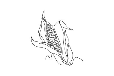 Çiftlik ya da arazi logosu kimliği için soyulmuş sağlıklı organik mısır ekinleri çizmeye devam et. Nişastalı sebze ikonu için taze mısır kavramı. Tek çizgi çizimi tasarım vektörü grafik çizimi