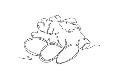 Çiftlik logosu kimliği için tek bir çizgi ve dilimlenmiş sağlıklı organik zencefil. Taze çiçek açan bitki rhizome herbaceous perennial simgesi. Aralıksız çizgi çizimi tasarım grafik vektör çizimi