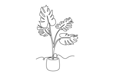 Güzellik saksısı çizen, tropik yaprak canavarı bitkisi. Ev dekorasyonu süsü için basılabilir dekoratif ev bitkisi konsepti. Tek çizgi çizimi tasarım vektörü grafik çizimi