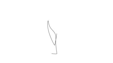 Güzel, soyut lale çiçeğinin sürekli çiziminin animasyon çizimi. Asgari taze güzellik doğal konsept. Ev dekorasyonu, poster, çanta, kumaş baskısı. Tam uzunluktaki bir çizgi canlandırması