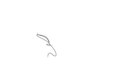 Güzellik çiçeğinin bitkisinin sürekli çiziminin animasyon çizimi. Tropik çiçek stili, poster için romantik konsept, ev kağıdı dekoru. Tam uzunluktaki bir çizgi canlandırması