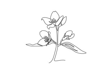 Devamlı bir çizgi, ev dekorasyonu için taze yeşil yasemin çiçeği çiziyor. Bahçe işleri için dekoratif poster yasemin konsepti. Tek çizgi çizimi tasarım vektörü grafik çizimi