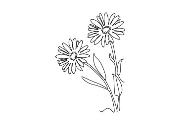 Ev duvarı süsleme posteri için güzellik takvimi çizmeye devam et. Tebrik kartı süsü için basılabilir dekoratif kadife çiçeği. Tek çizgi çizimi tasarım vektörü grafik çizimi