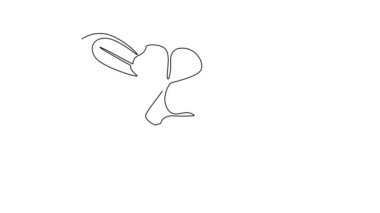 Tek bir çizginin kendi kendine çizimi ev dekorasyonu sanatı için taze kataranthus yaratıyor. Dekoratif menekşe çiçeği konsepti düğün davetiyesi. Devamlı çizgi çekme. Tam uzunluk canlandırması