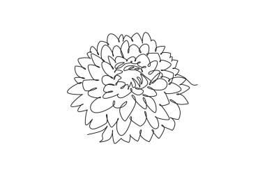 Bahçe logosu için taze yıldız çiçeği çizen tek çizgi. Ev dekorasyonu duvar posterleri için basılabilir ulusal Meksika çiçeği konsepti. Aralıksız çizgi çizimi tasarım grafik vektör çizimi